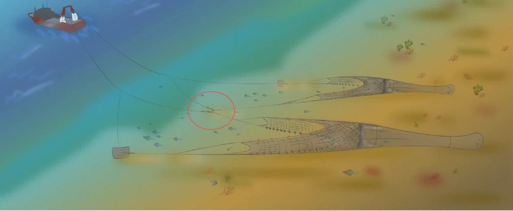 gemelas-2-cables.png